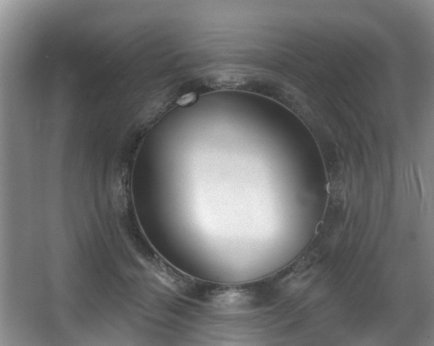 X0000068270460200604241302