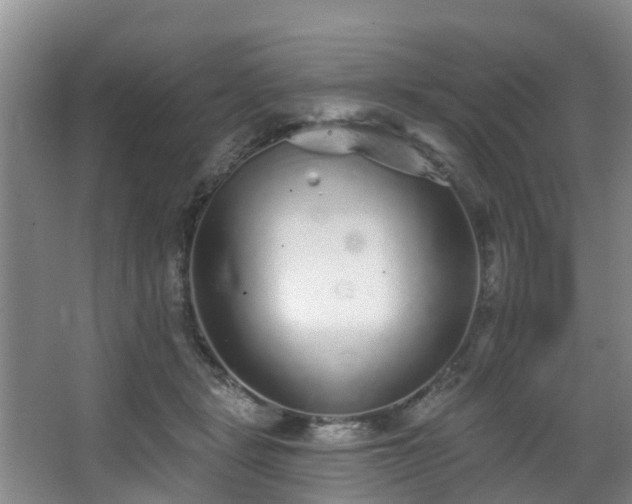 X0000068270461200604241302