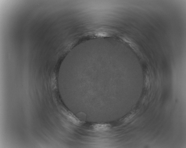 X0000068270465200604241302