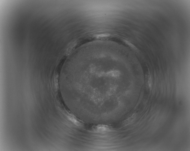 X0000068270475200604241302