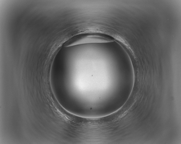 X0000068270481200604241302