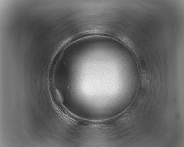 X0000068270482200604241302