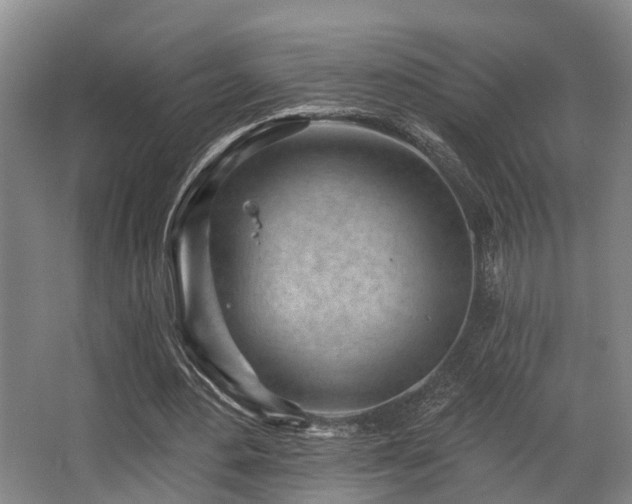 X0000068270484200604241302