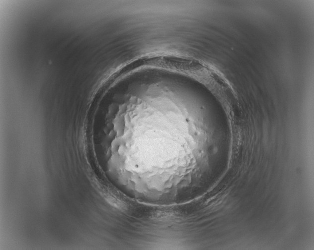 X0000068270487200604241302