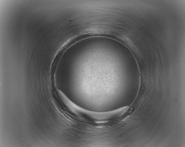 X0000068270488200604241302