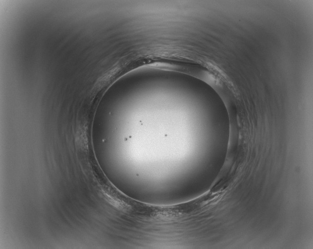 X0000068270489200604241302