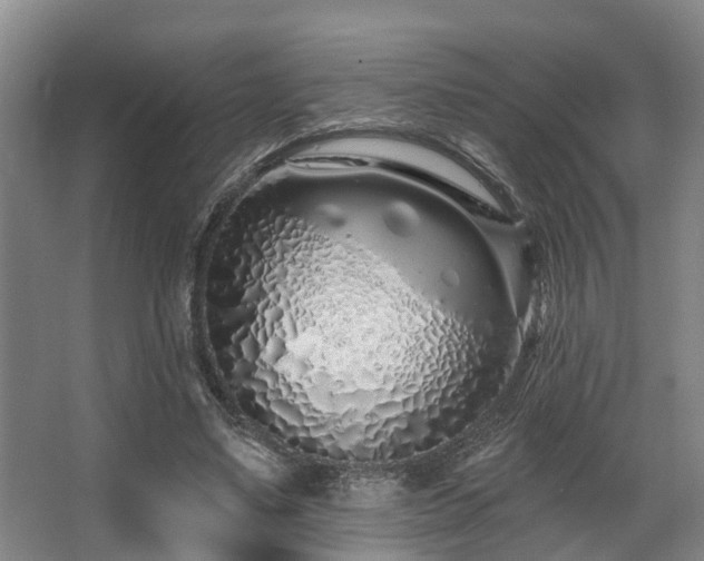 X0000068270491200604241302