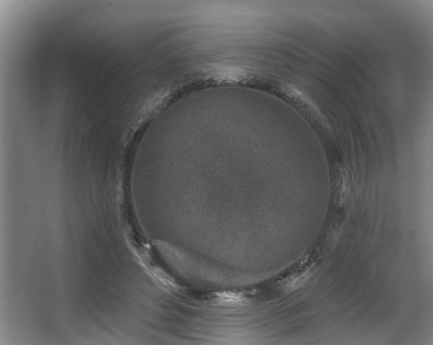 X0000068270496200604241301