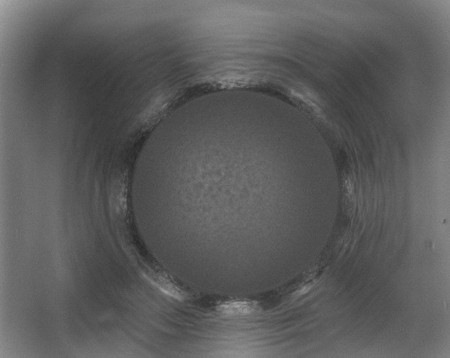 X0000068270499200604241301