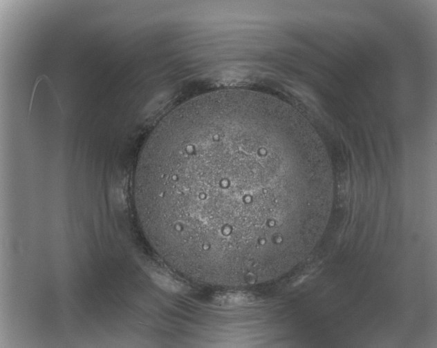 X0000068270503200604241301