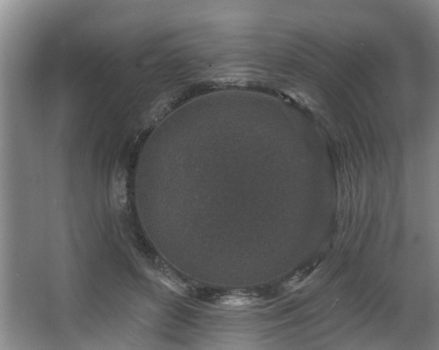 X0000068270504200604241301