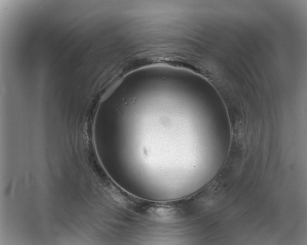 X0000068270506200604241301