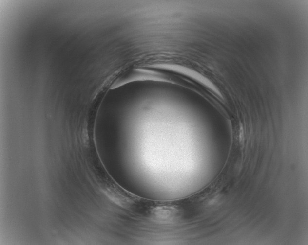 X0000068270508200604241301