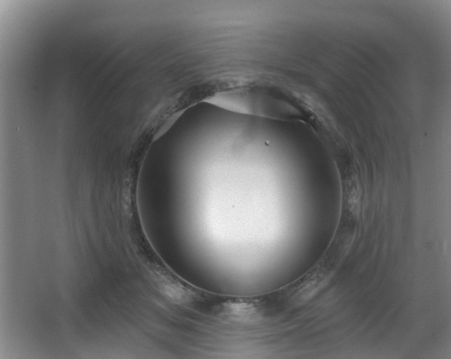 X0000068270509200604241301