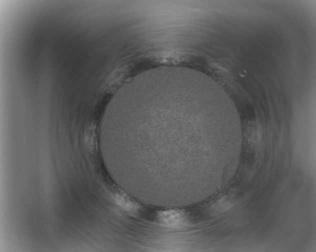 X0000068270511200604241301