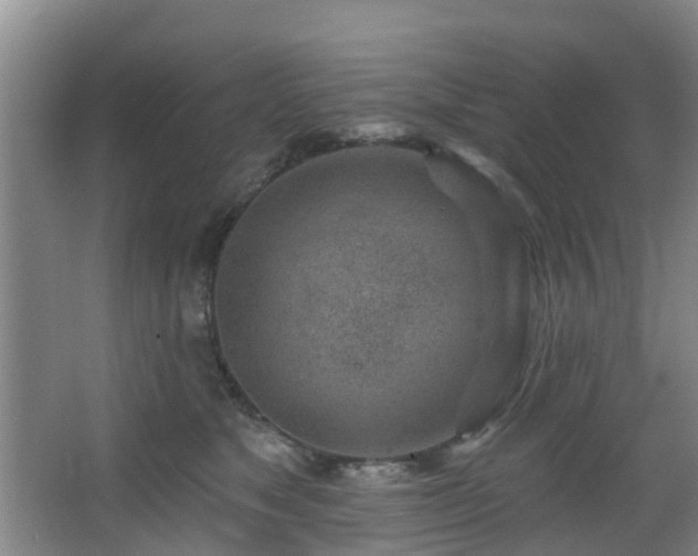 X0000068270517200604241301