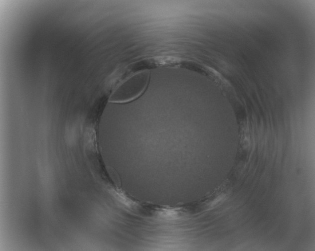 X0000068270523200604241301