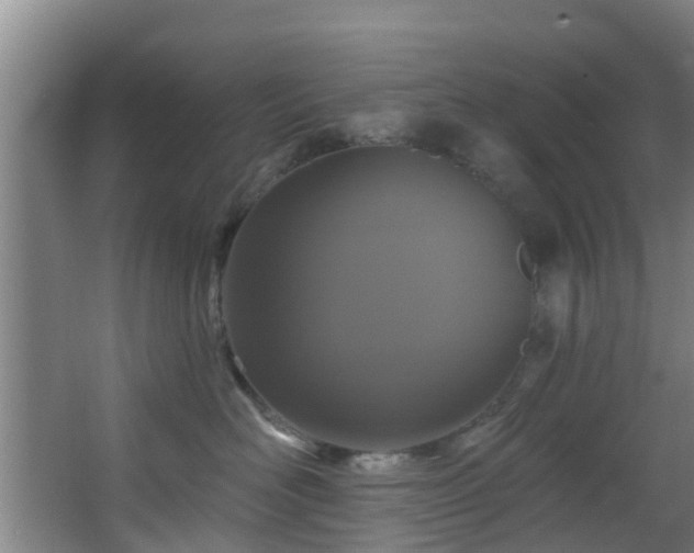 X0000068270526200604241301