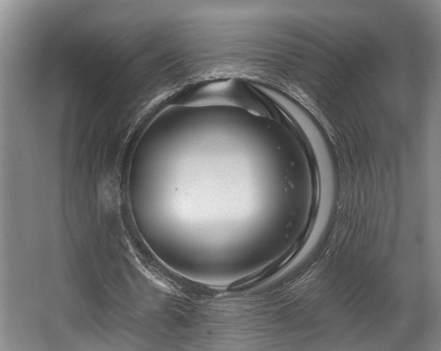 X0000068270530200604241300