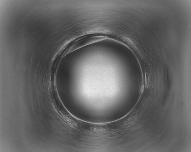 X0000068270531200604241300