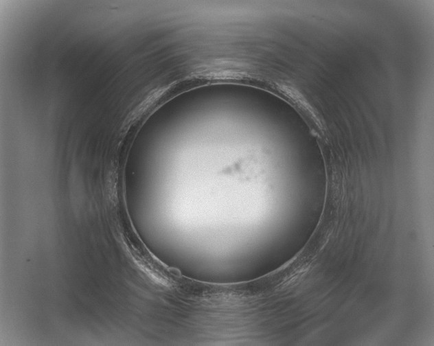 X0000068270533200604241300