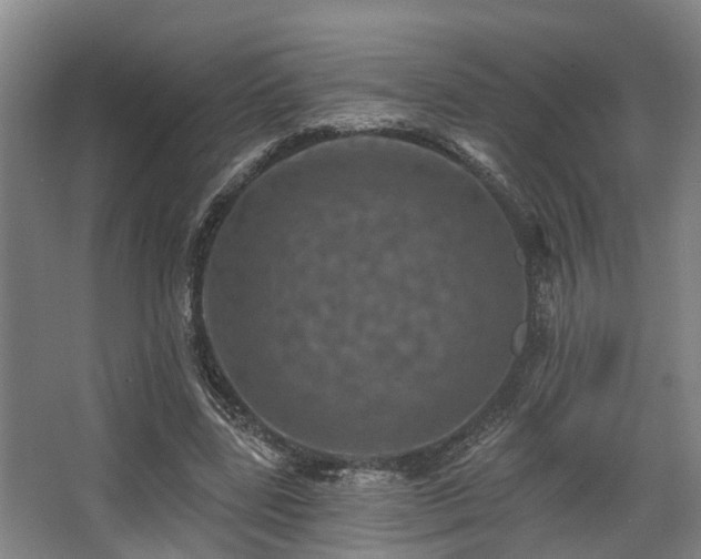 X0000068270539200604241300