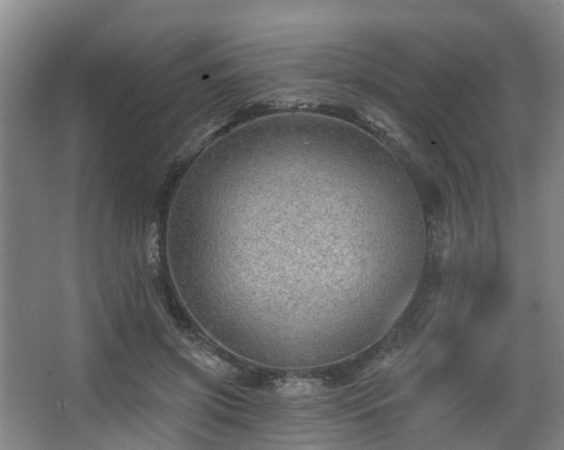 X0000068270549200604241300