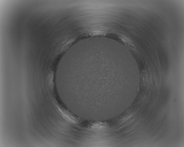 X0000068270550200604241300