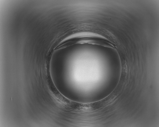 X0000068270552200604241300