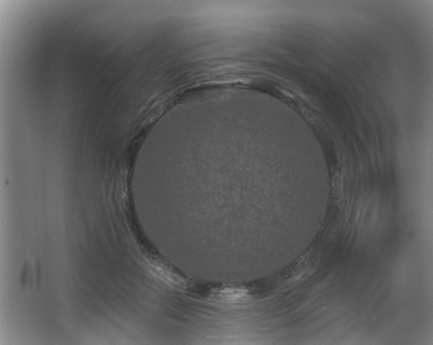 X0000068270554200604241300