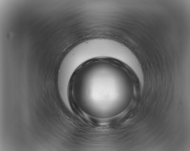 X0000068270556200604241301