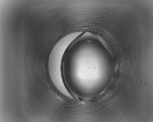 X0000068270558200604241301