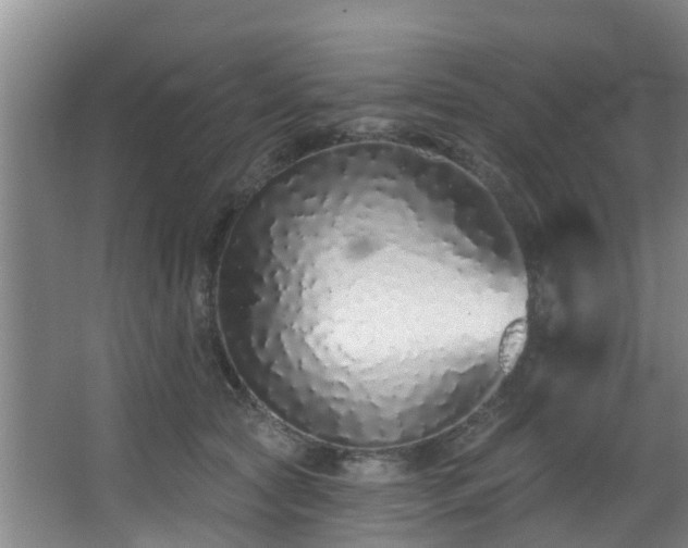 X0000068270561200604241301