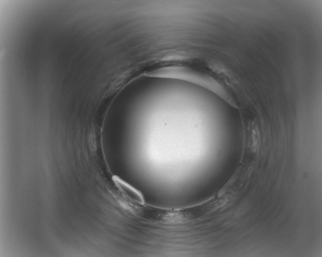 X0000068270562200604241301