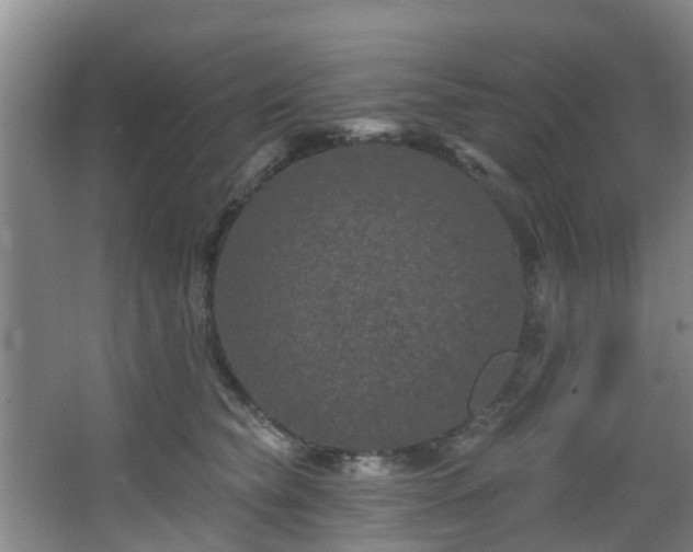 X0000068270565200604241301