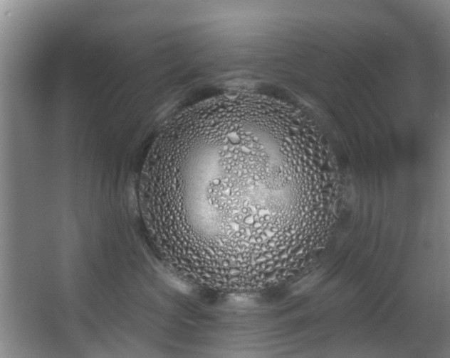 X0000068270573200604241301