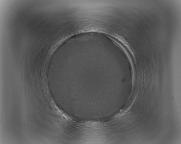 X0000068270577200604241300