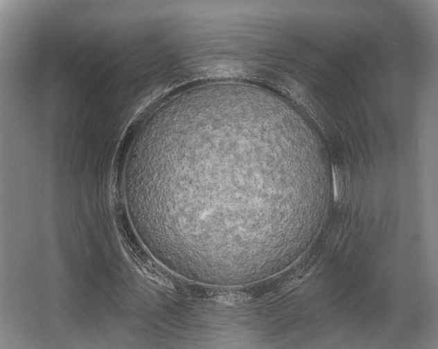 X0000068270579200604241300