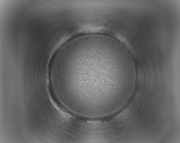 X0000068270582200604241300