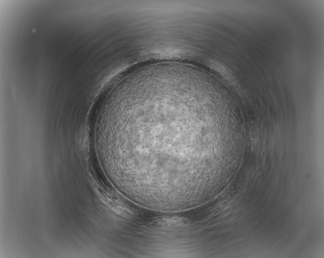 X0000068270583200604241300