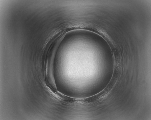 X0000068270585200604241300