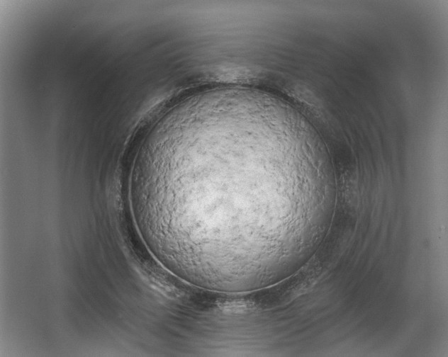 X0000068270587200604241300