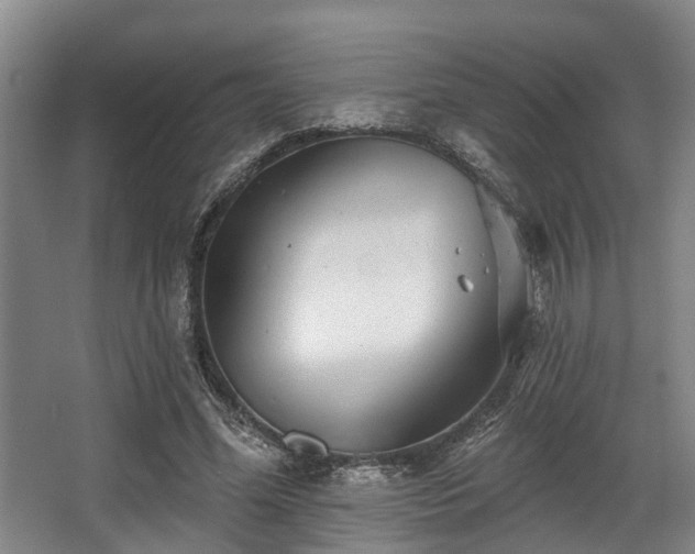 X0000068270588200604241300