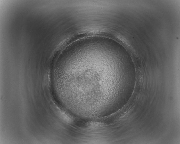 X0000068270590200604241300