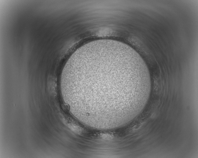 X0000068270592200604241300