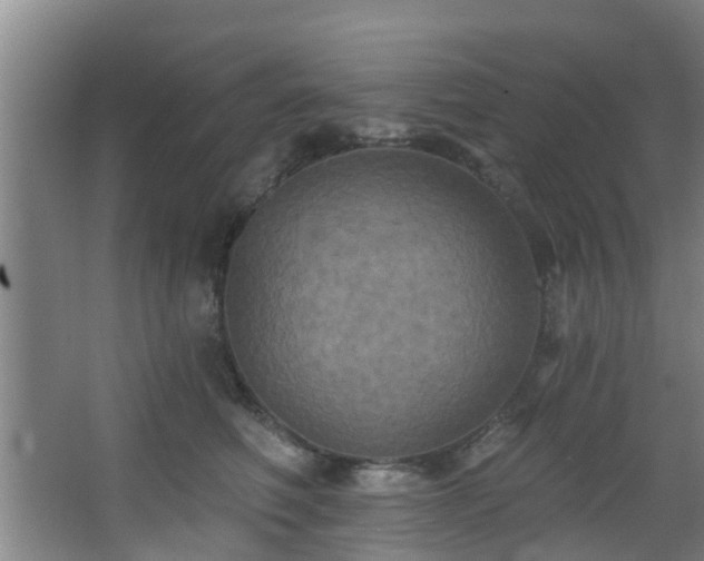 X0000068270614200604241259