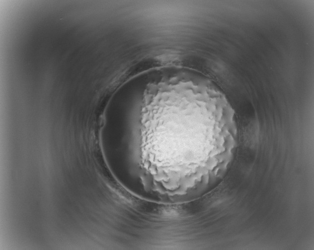 X0000068270618200604241259