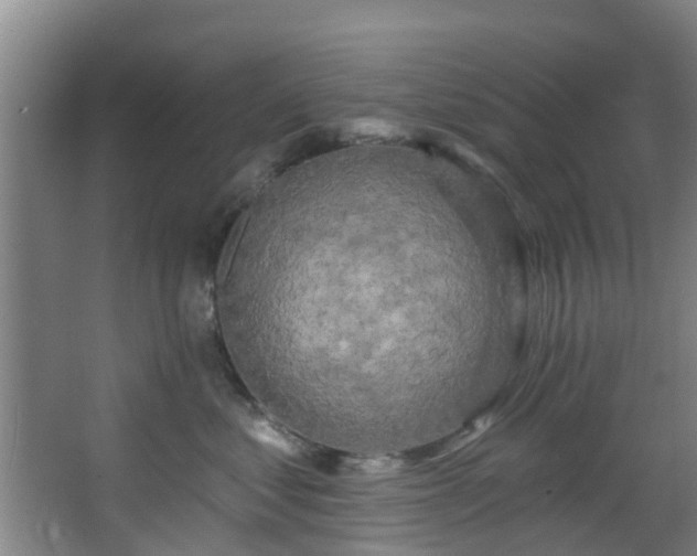 X0000068270621200604241259