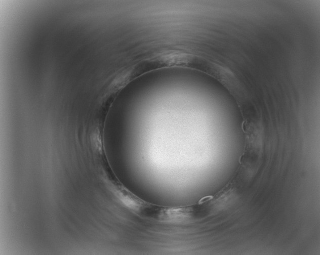 X0000068270622200604241259