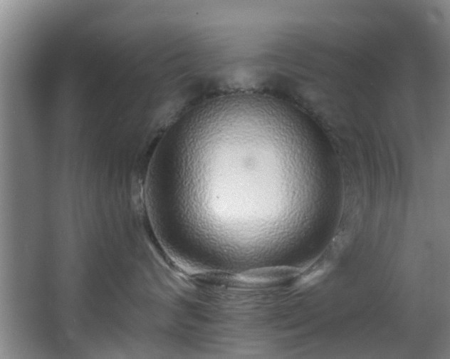 X0000068270624200604241259